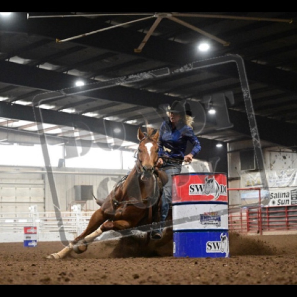 Meet your Posher, Susan